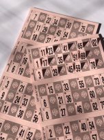 bingo-reutilizable3